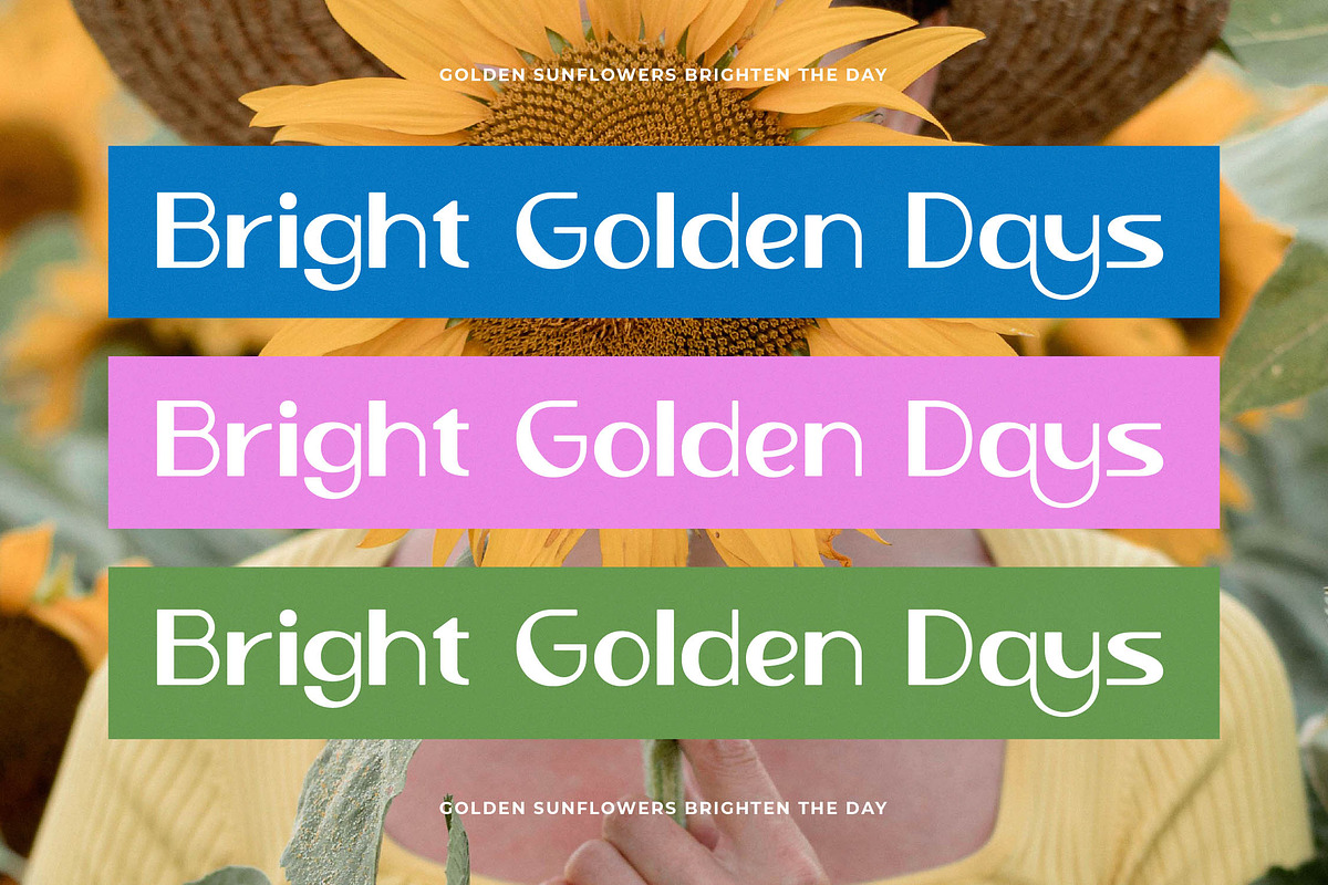 Novas Lumina Display Typeface, a Sans Serif Font by timelesstype.co (Photo 17 of 20)