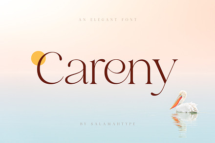 Careny - Elegant Modern Serif, a Serif Font by Salamahtype