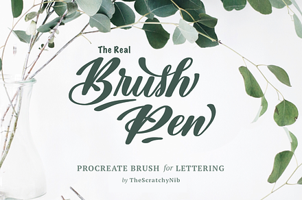 Brush Pen Procreate Lettering Brush