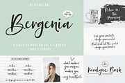 Font Collection Bundle, a Script Font by Zane Studio (Thumbnail 10 of 21)