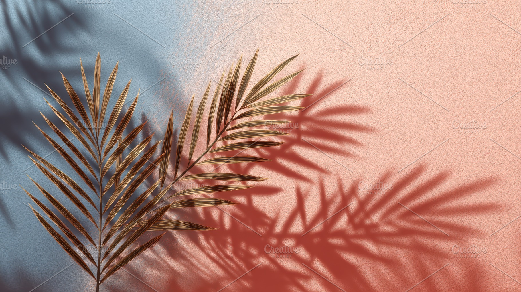 Palm shadows cast on a pastel backgr, a Photo by Pavel_design