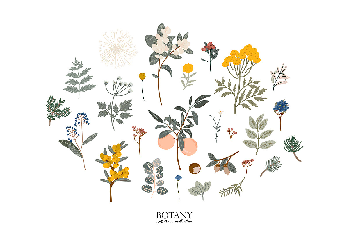 Seasonal Botany BUNDLE, an Object Graphic by Ruslana Lubenets (Photo 4 of 100)
