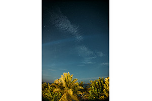 Starry Night Sky Over Lush Tropical, a Nature Photo by Our Amazing World
