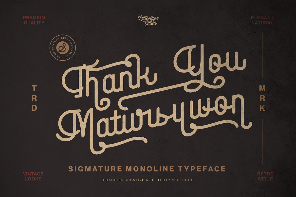 Sigmature Monoline Beautiful Script, a Script Font by Lettertype Studio (Photo 15 of 15)
