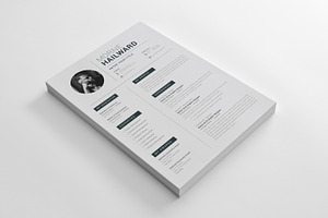 Resumes Template