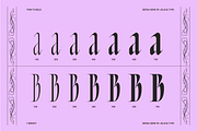 Bersa Serif | Narrow Serif, a Serif Font by Jolicia Type (Thumbnail 15 of 16)