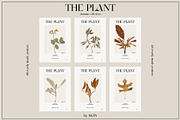 The PLANT. Autumn collection, a Pattern Graphic by NKTN (Thumbnail 14 of 18)