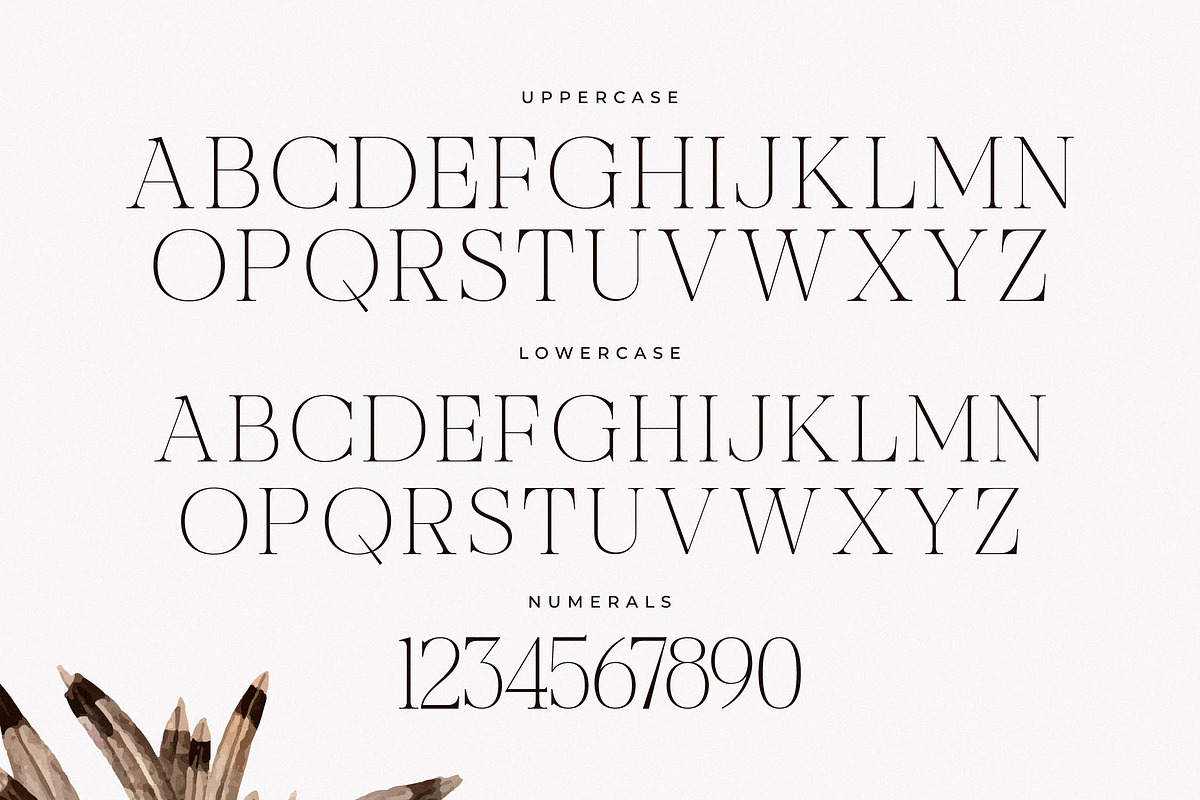 Nocashe New Display Serif Font, a Serif Font by Storytype Studio (Photo 12 of 15)