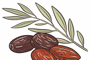Ripe dates with leaves, a Food Illustration by SouravDesign