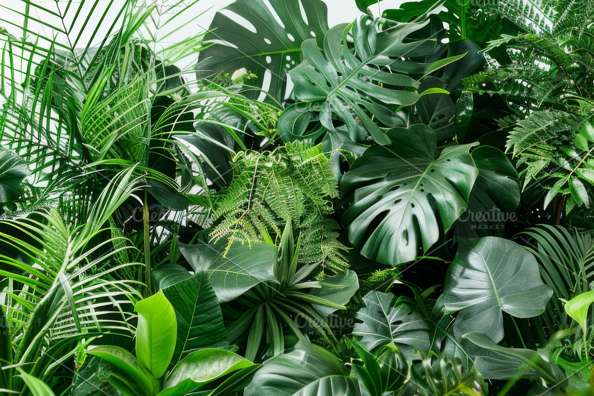 99 Frames of green leaves, a Nature Photo by Handmadefont (Photo 71 of 100)