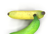 Bananas, a Food & Drink 3D Model by AndrewWhite (Thumbnail 6 of 11)