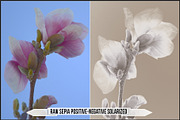 Authentic Sepia LUTs - Version 2, a Plug-in Add-On by Raztrend (Thumbnail 30 of 30)