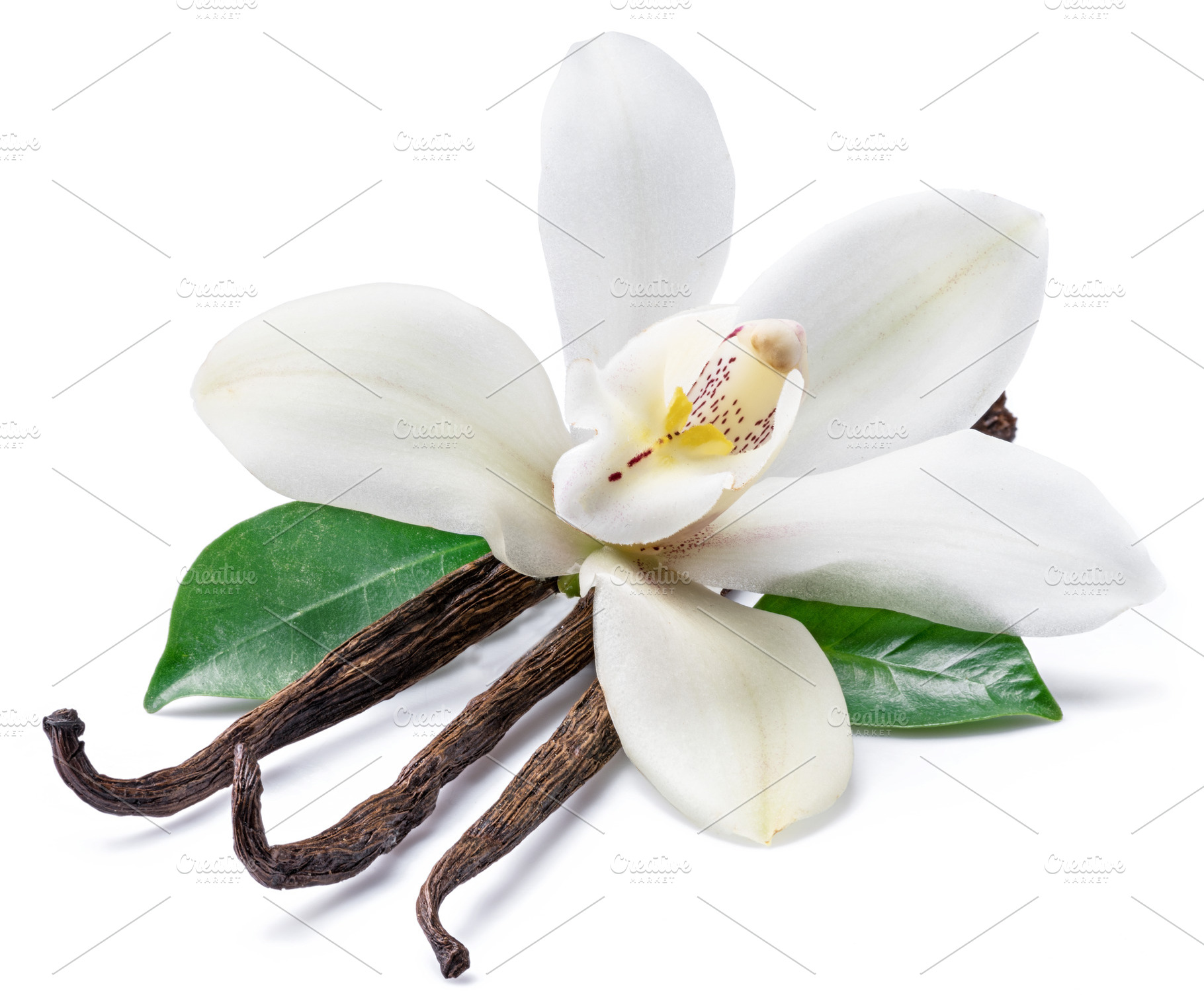 Dried vanilla sticks orchid, a Food & Drink Photo by Volff