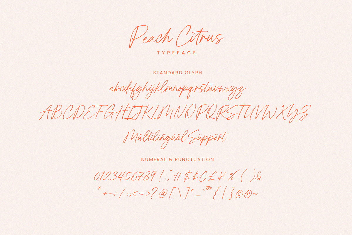 Peach Citrus Handwritten Script, a Script Font by Seagulls Creative (Photo 10 of 11)