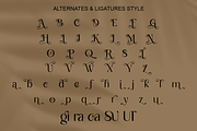 Sparkling Mellow - Elegant Serif, a Serif Font by RagamKata (Thumbnail 8 of 9)