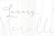 Morellin Elegant Script, a Script Font by Say Studio (Thumbnail 11 of 16)