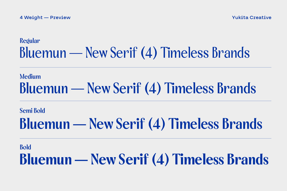 Bluemun – Timeless Serif, a Serif Font by Yukita Creative (Photo 6 of 12)