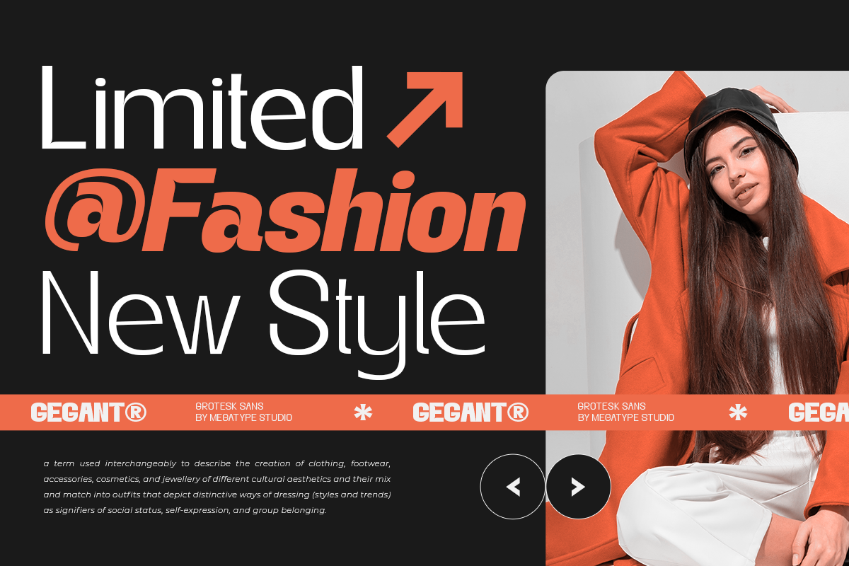 Gegant Font, a Sans Serif Font by Megatype (Photo 3 of 15)