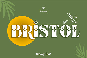 Bristol Slab Serif Groovy Font, a Slab Serif Font by WhymoreArt