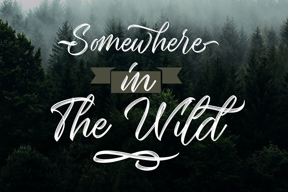 Seymore – Brush Script Font, a Script Font by Typefactoryco (Photo 3 of 12)