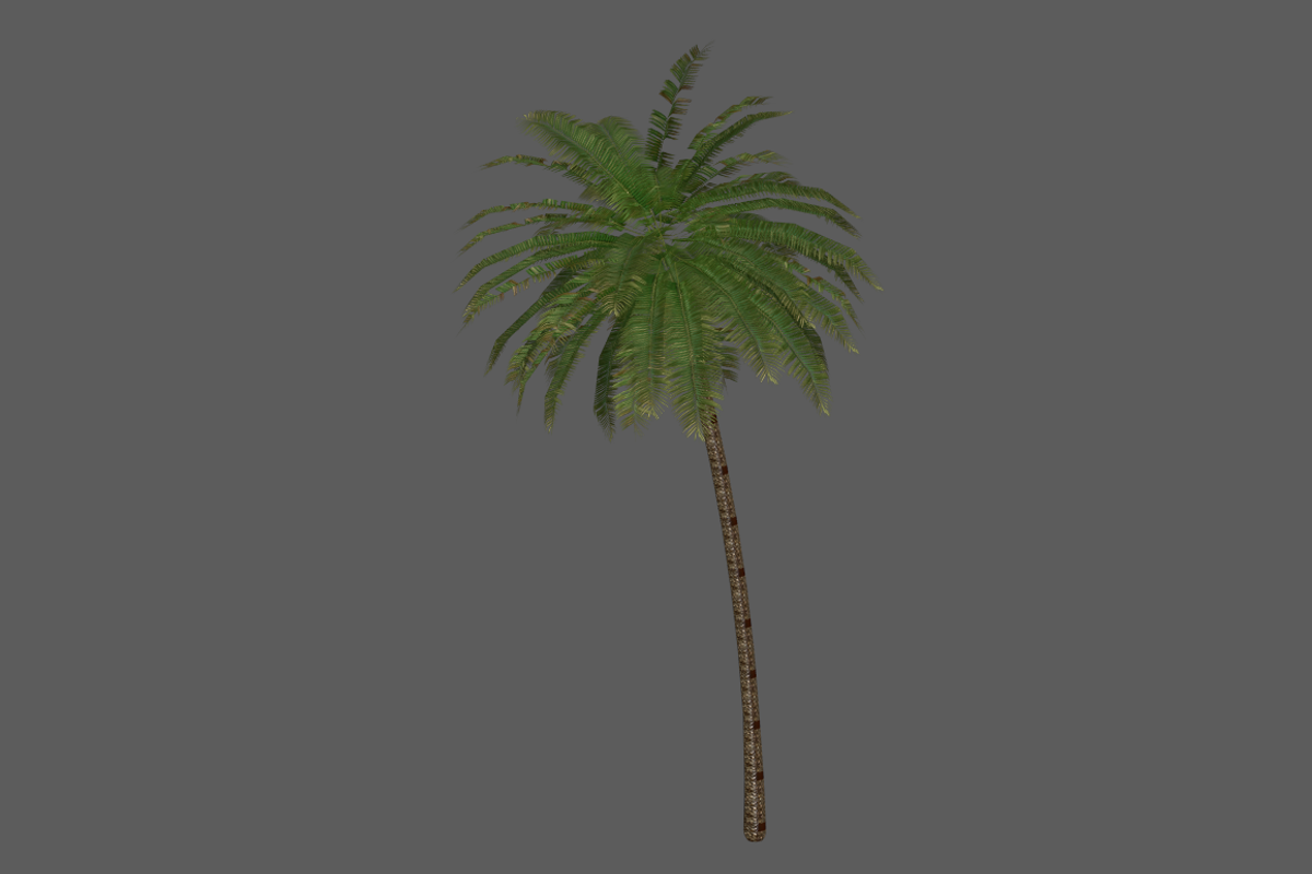 Palm_Tree_2, an Environmental 3D Model by 2dawngames (Photo 2 of 2)