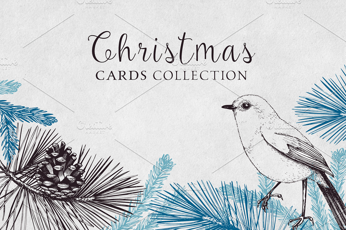 Vintage Winter Plants Collection, an Object Graphic by Yevheniia (Photo 4 of 8)