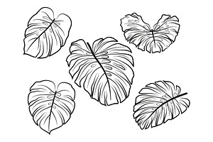 Monstera Leaves Pictograms