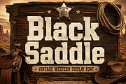 Black Saddle, a Slab Serif Font by Wow Magic (Thumbnail 1 of 7)
