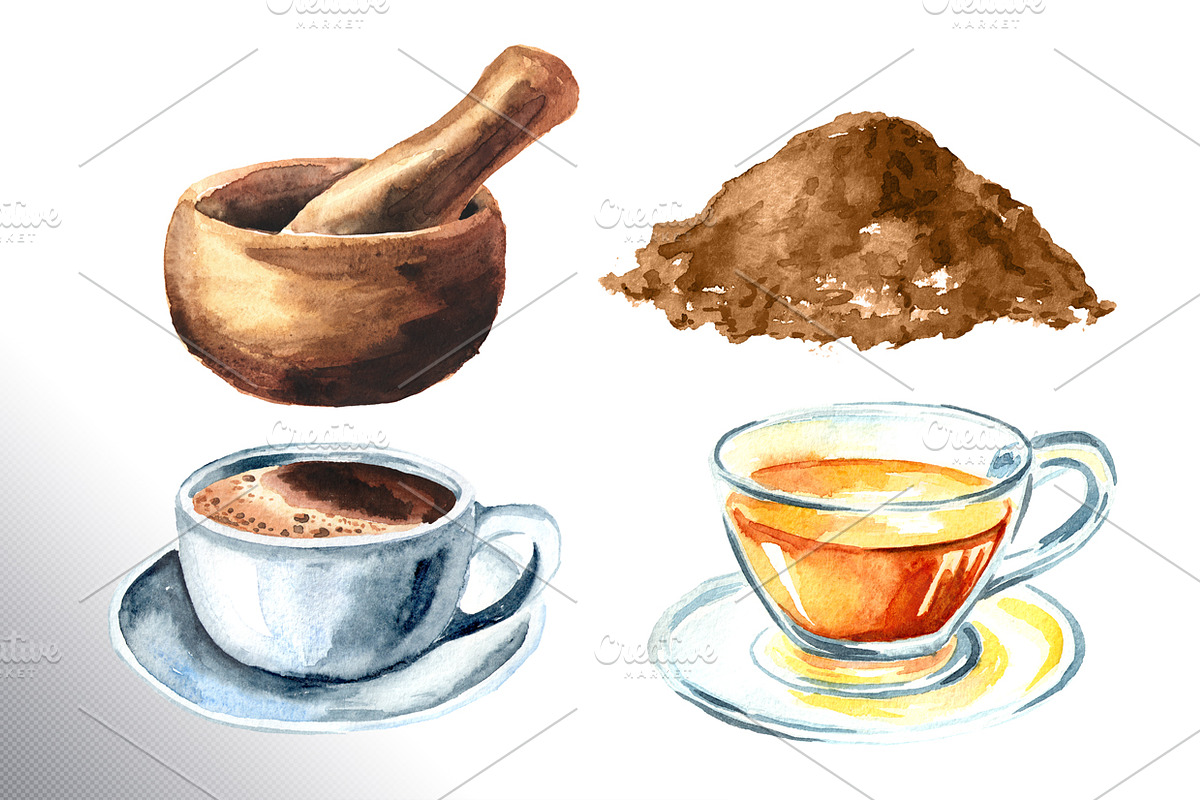 Chicory. Watercolor collection, a Food Illustration by Daria Ustiugova (Photo 7 of 9)