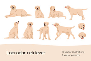 Labrador retriever dog set, patterns, an Animal Illustration by Good Studio