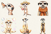 Watercolor Cute Meerkat Clipart, an Illustration by OK Design (Thumbnail 4 of 5)