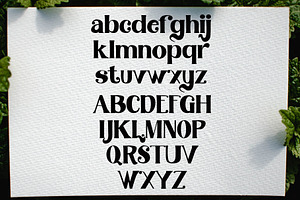 Regunate - Modern Serif Font