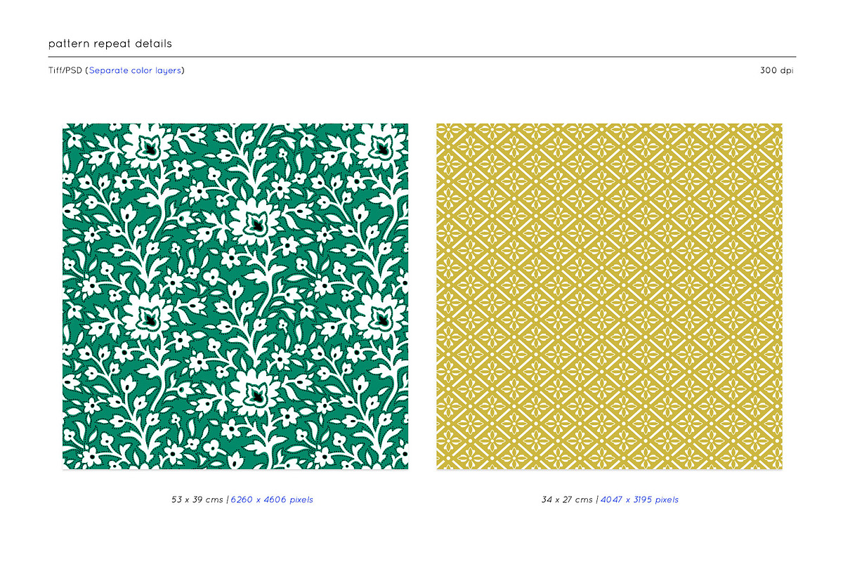 Mirai Collection 11 Eastern Patterns, a Pattern Graphic by TSTUDIO (Photo 8 of 12)