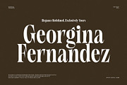 Neolan Imanuel Modern Serif Font, a Serif Font by Graphicxell (Thumbnail 4 of 9)