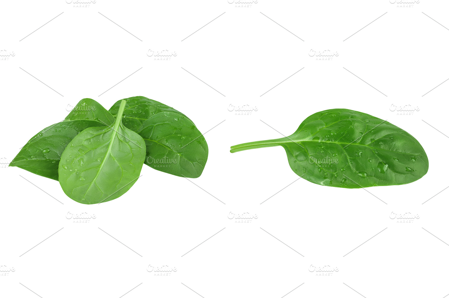 Baby spinach leaves isolated on, a Food & Drink Photo by NataPhoto