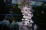 A Garden of Roses | Wedding, Events, a Nature Photo by Farewell (Thumbnail 5 of 41)
