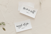 Aberfoyle South Script, a Script Font by Beck McCormick (Thumbnail 3 of 11)