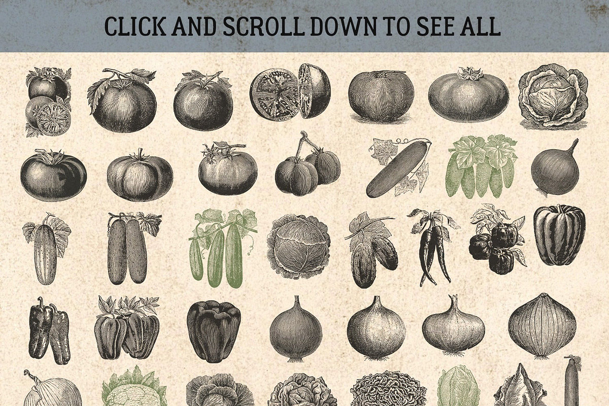 87% OFF Vintage Bundle - Free Update, an Animal Illustration by Brigantine Designs (Photo 9 of 21)
