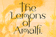 Lemonade. Chic new social media font, a Serif Font by LostandFoundry (Thumbnail 2 of 6)