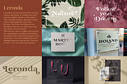 Elegant Serif Bundle, a Serif Font by Larin Type Co. (Thumbnail 17 of 18)