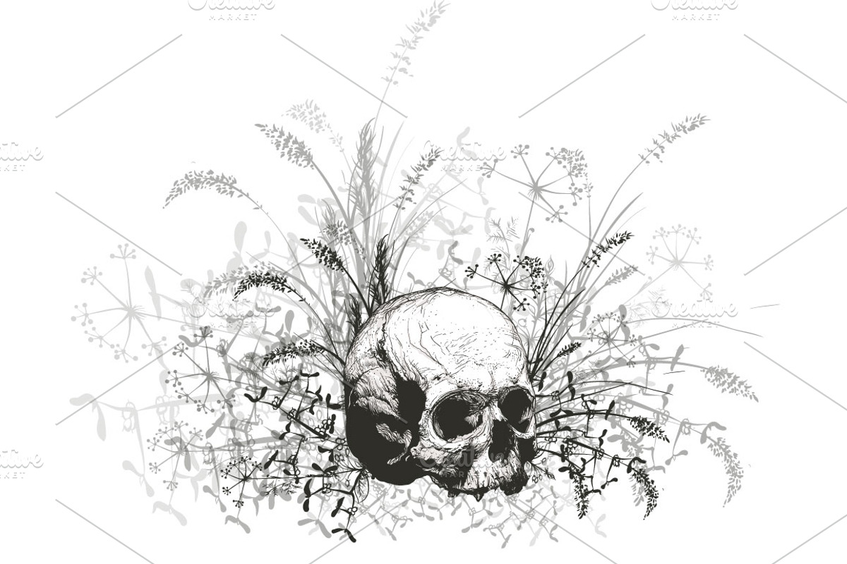 Skull, an Object Graphic by ArtOwl (Photo 10 of 10)