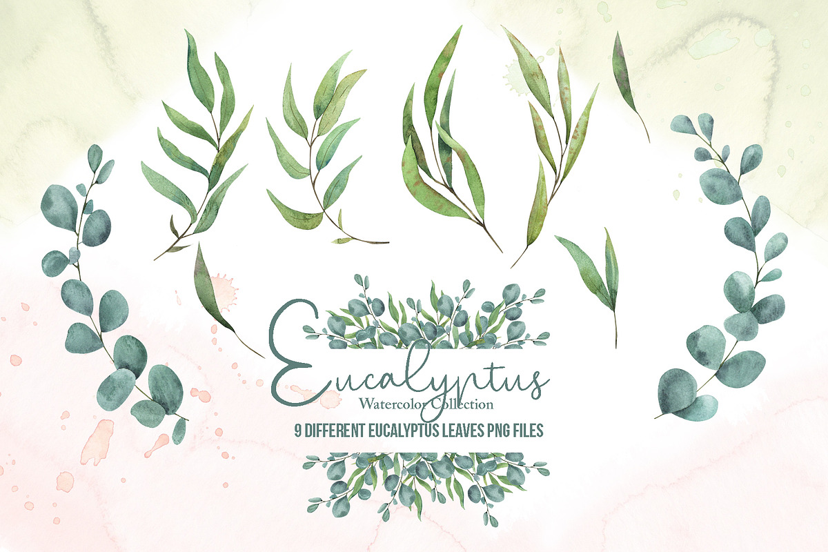 Watercolor Eucalyptus SET, a Decorative Illustration by TanataDesign (Photo 11 of 16)