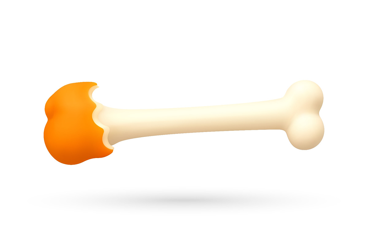 3d illustration of chicken bone with, an Object Illustration by Abscent (Photo 1 of 3)