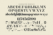 Ranfgih Stylish Serif Font, a Serif Font by Storytype Studio (Thumbnail 12 of 15)