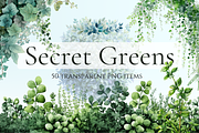 Secret Greens Watercolor Collection, a Decorative Illustration by Loony Dream Designs (Thumbnail 1 of 7)