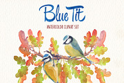 Watercolor blue tit bird clipart, an Illustration by Art & Things (Thumbnail 4 of 8)