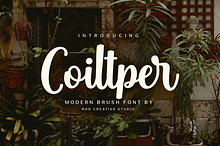 Coiltper - Modern Brush Font