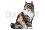 Watercolor Cat Clipart, an Illustration by Craft Nest (Thumbnail 11 of 12)