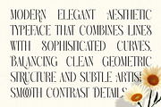 Audrey & Caroline - Elegant Modern, a Serif Font by Shakira Studio (Thumbnail 8 of 10)