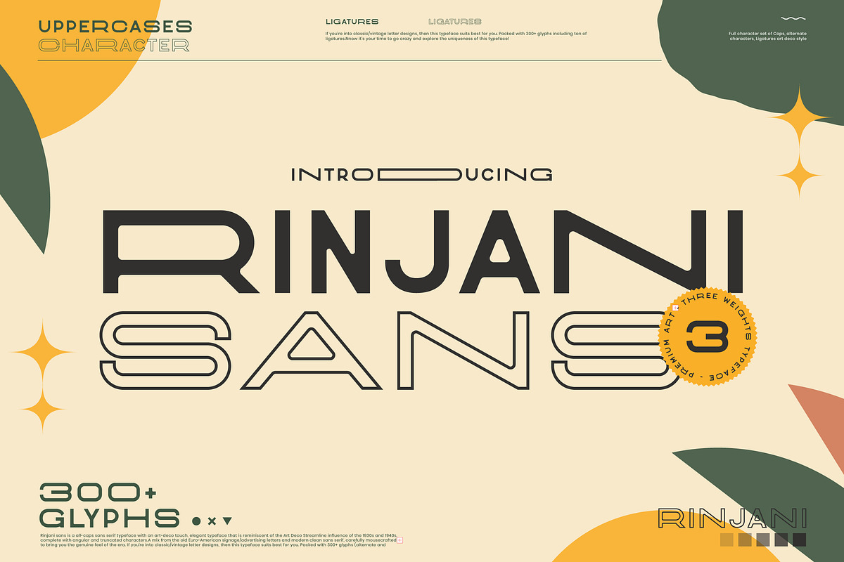Rinjani Sans - Wide Stretch Typeface, a Sans Serif Font by CCS Type (Photo 1 of 24)